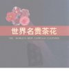 世界名贵茶花_12299733_高继银等主编_杭州...